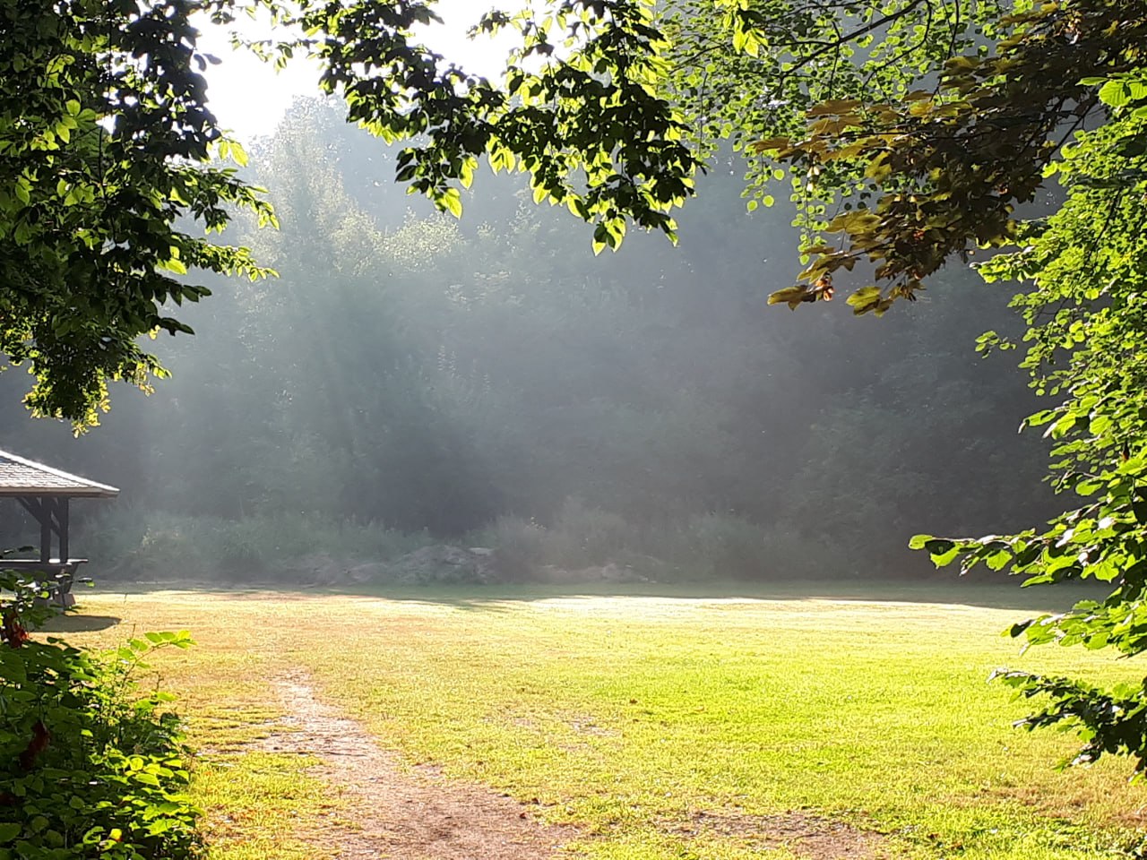 Ruhiger Praxisraum mit großem Fenster, Tageslicht und botanischen Akzenten